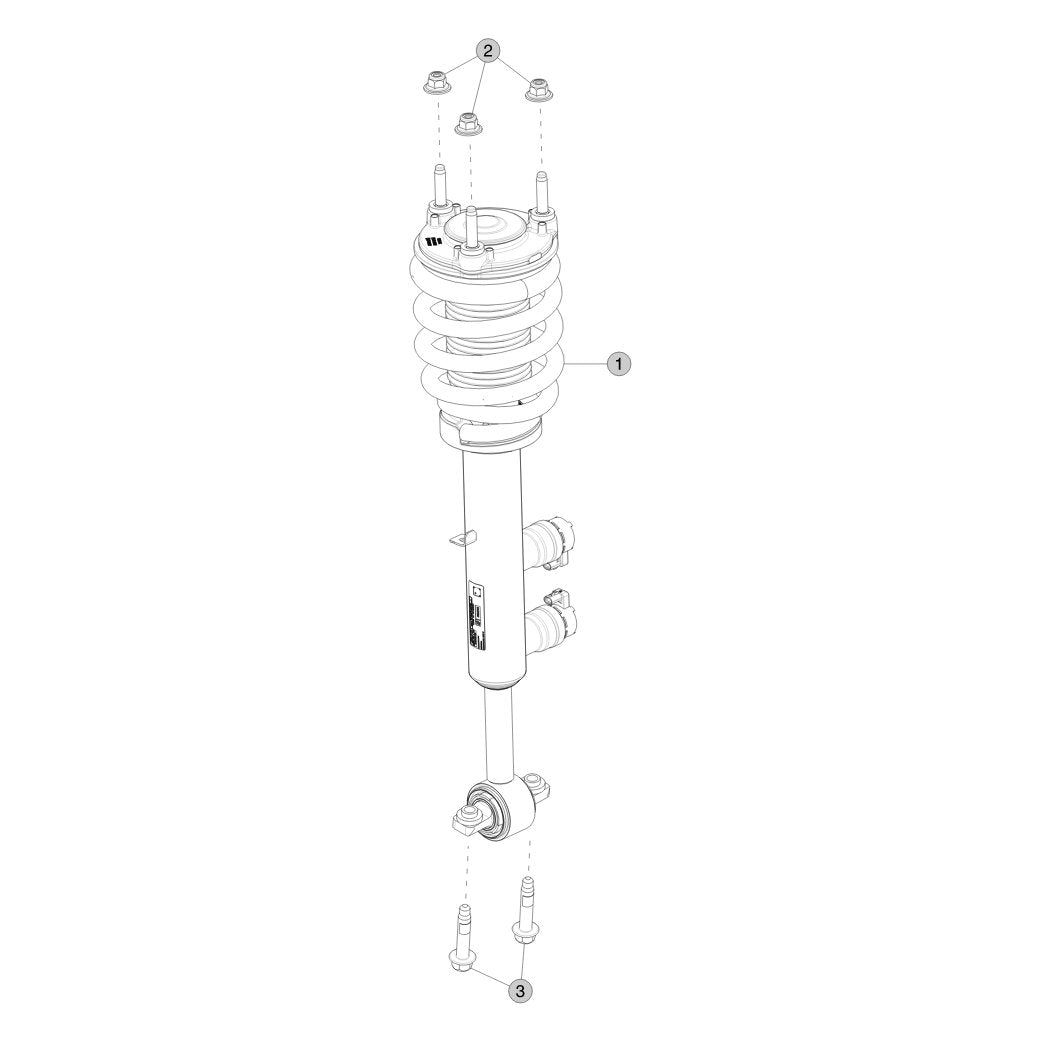 Tesla Cybertruck Front Coil Spring and Damper parts diagram