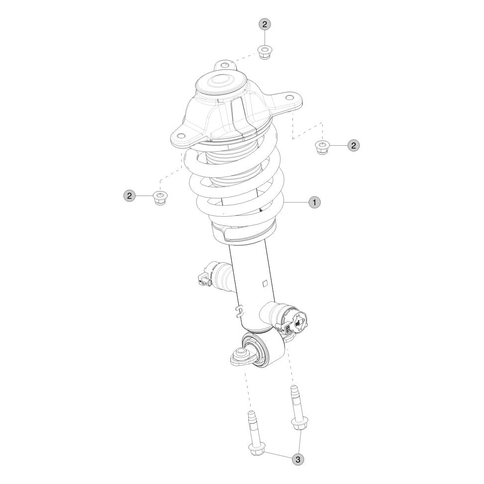 Tesla Cybertruck Rear Coil Spring and Damper parts diagram
