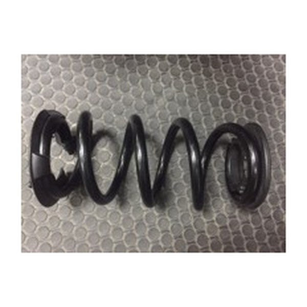 Rear Spring - Tesla part 2188476-00-C