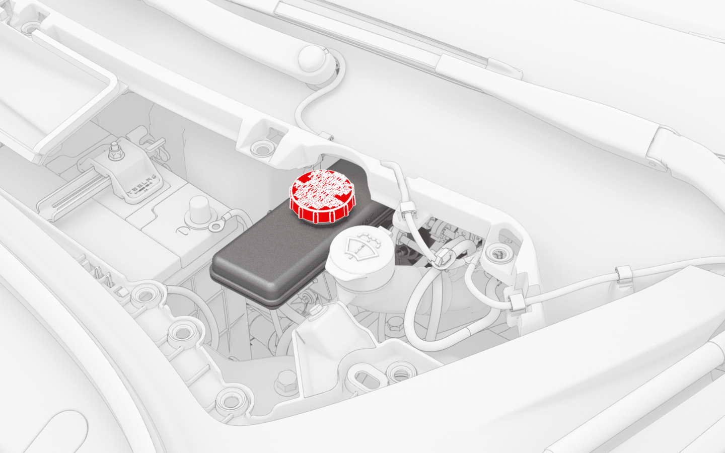 Brake Fluid Flush