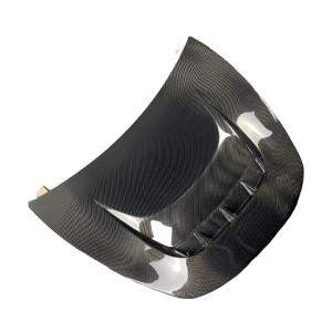 CARBON FIBER HOOD