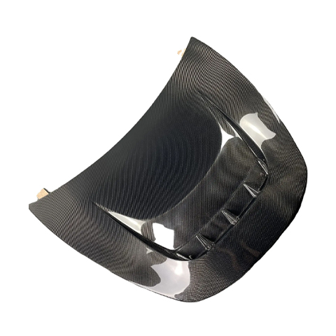 CARBON FIBER HOOD