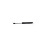 TRUNK RIGHT HAND GAS STRUT