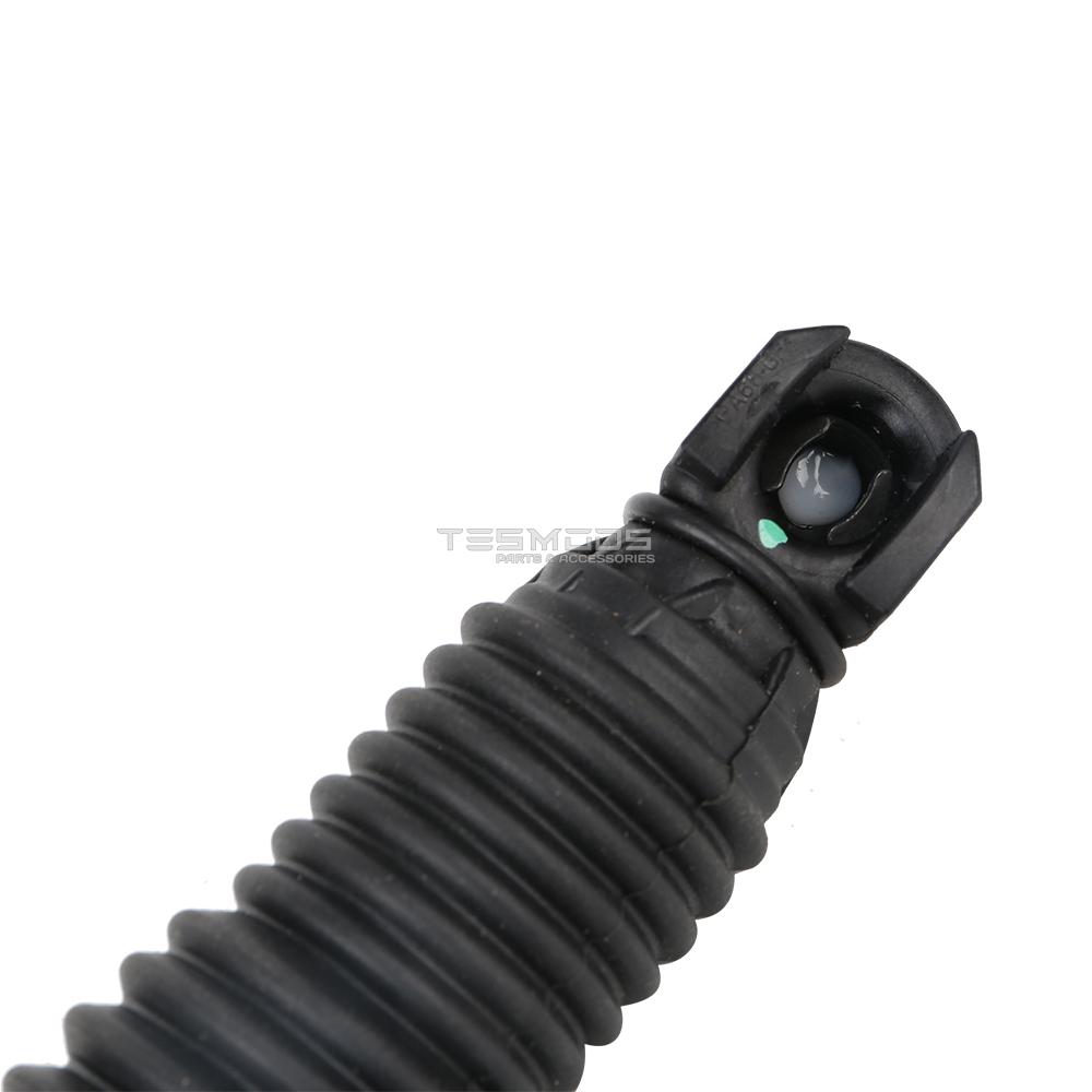 TRUNK LEFT HAND POWER STRUT