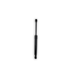 TRUNK GAS STRUT – NON POWERED TRUNK