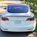 Model 3 Performance Spoiler