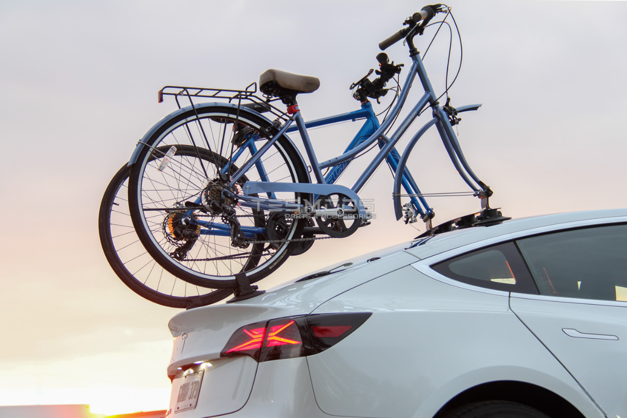 Model Y Bike Rack