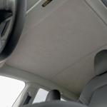 Model Y Electrostatic Roof Sunshade