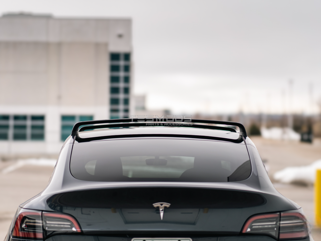 Model Y Roof Rack