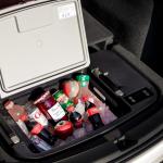 Model Y Sub Trunk Cooler Fridge